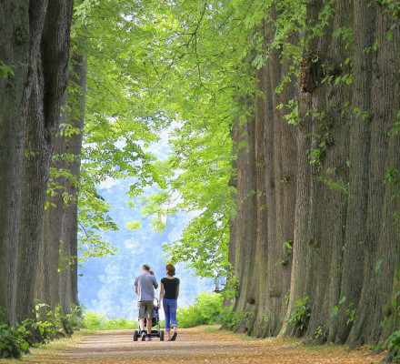 csm Collage Garten Bild 01 bac02ba668